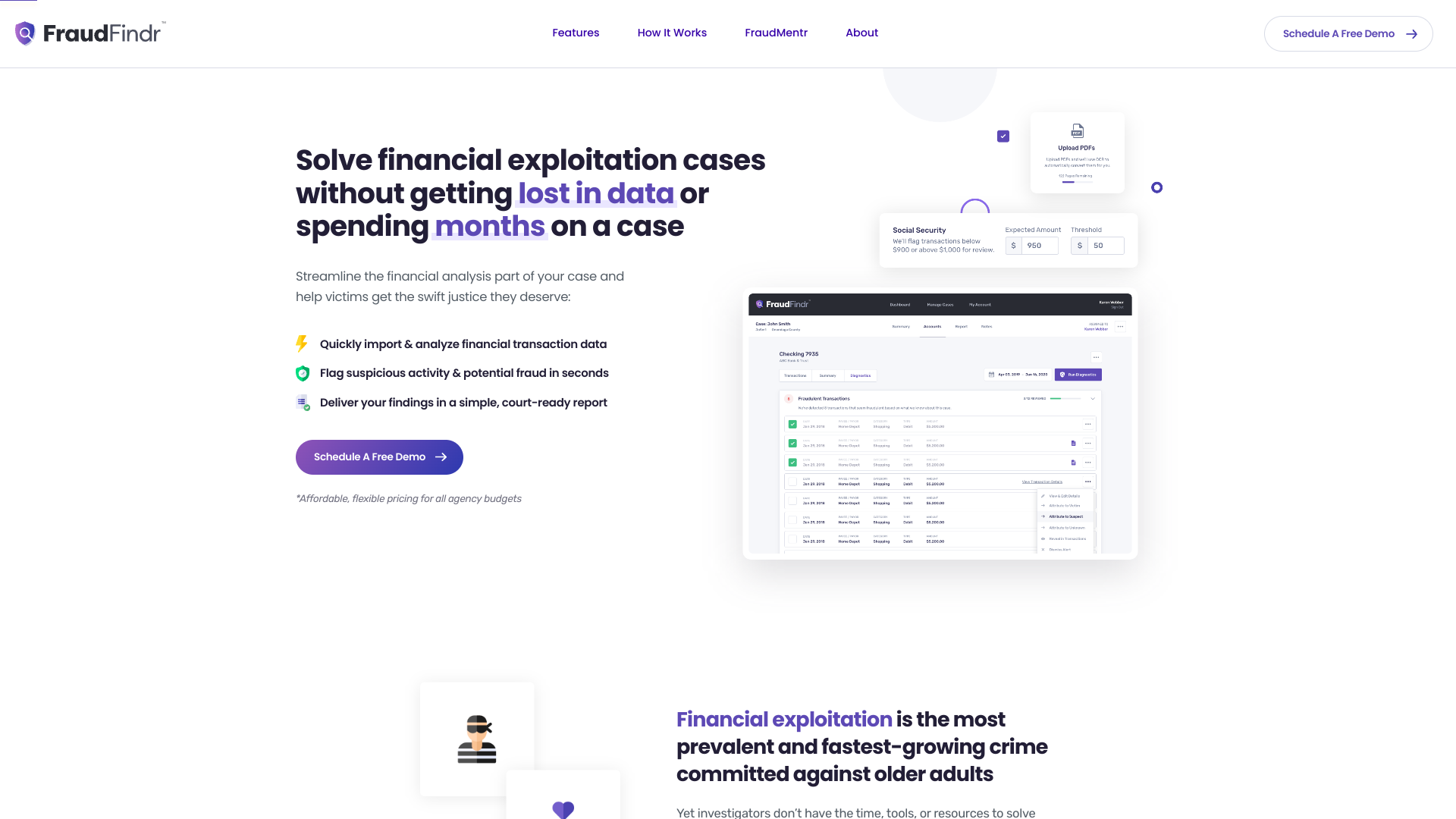 Screenshot of FraudFindr